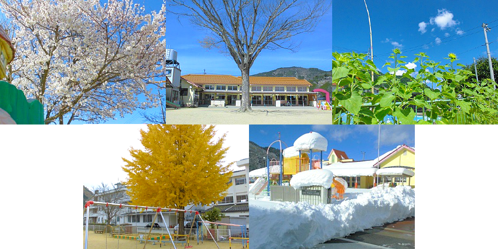 やなせこども園の特色